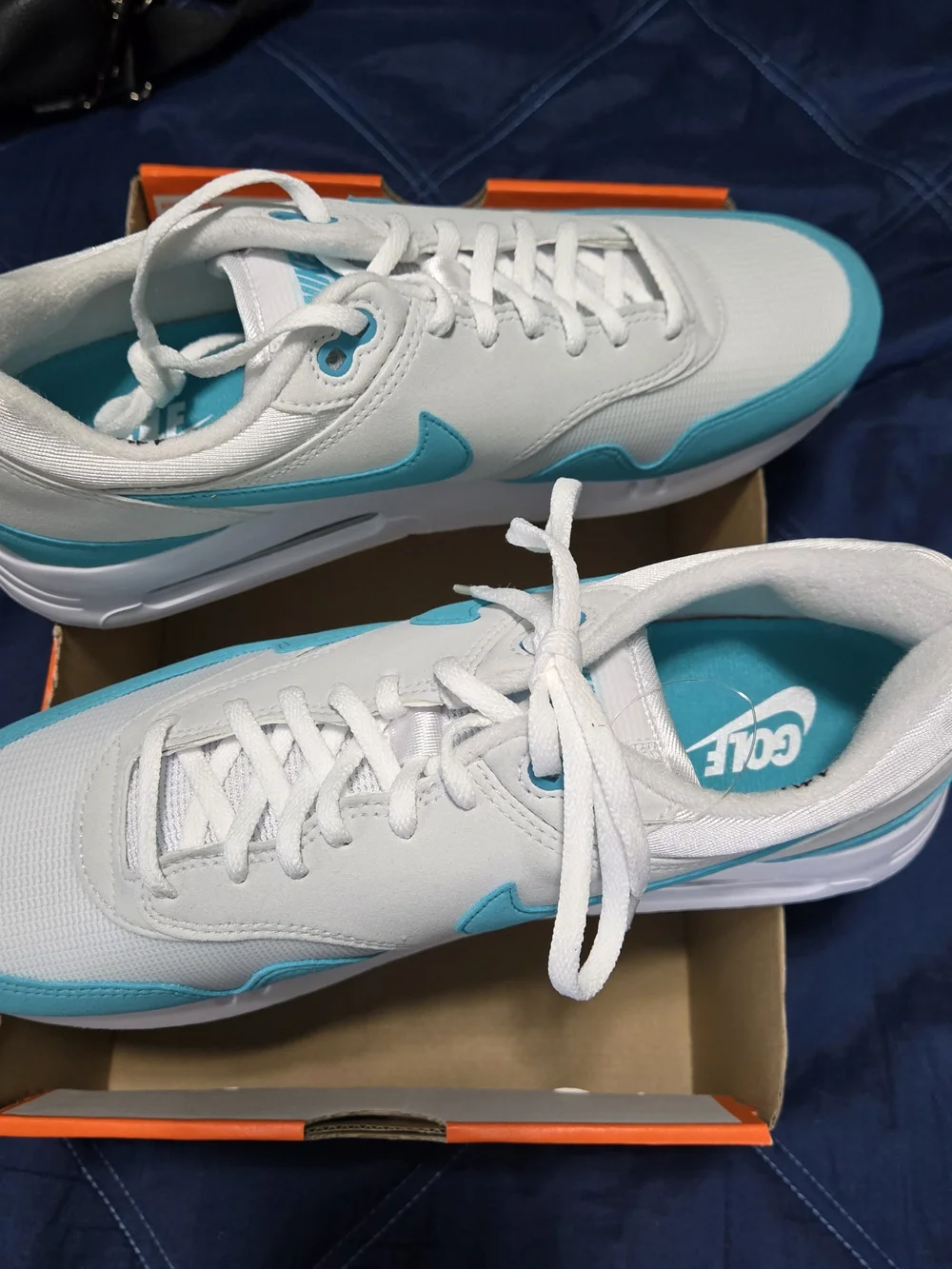 Nike Air Max White and Teal Sneakers
